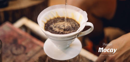 Qué es el blooming del café y por qué es importante