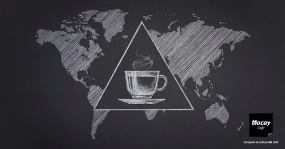 El triángulo cafetero o el café convertido en cultura